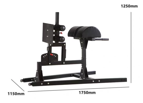 ⁦מכשיר GHD GLUTE HAM DEVELOPER מקצועי לחדר כושר לזוקפי גב ובטן⁩ – תמונה ⁦2⁩