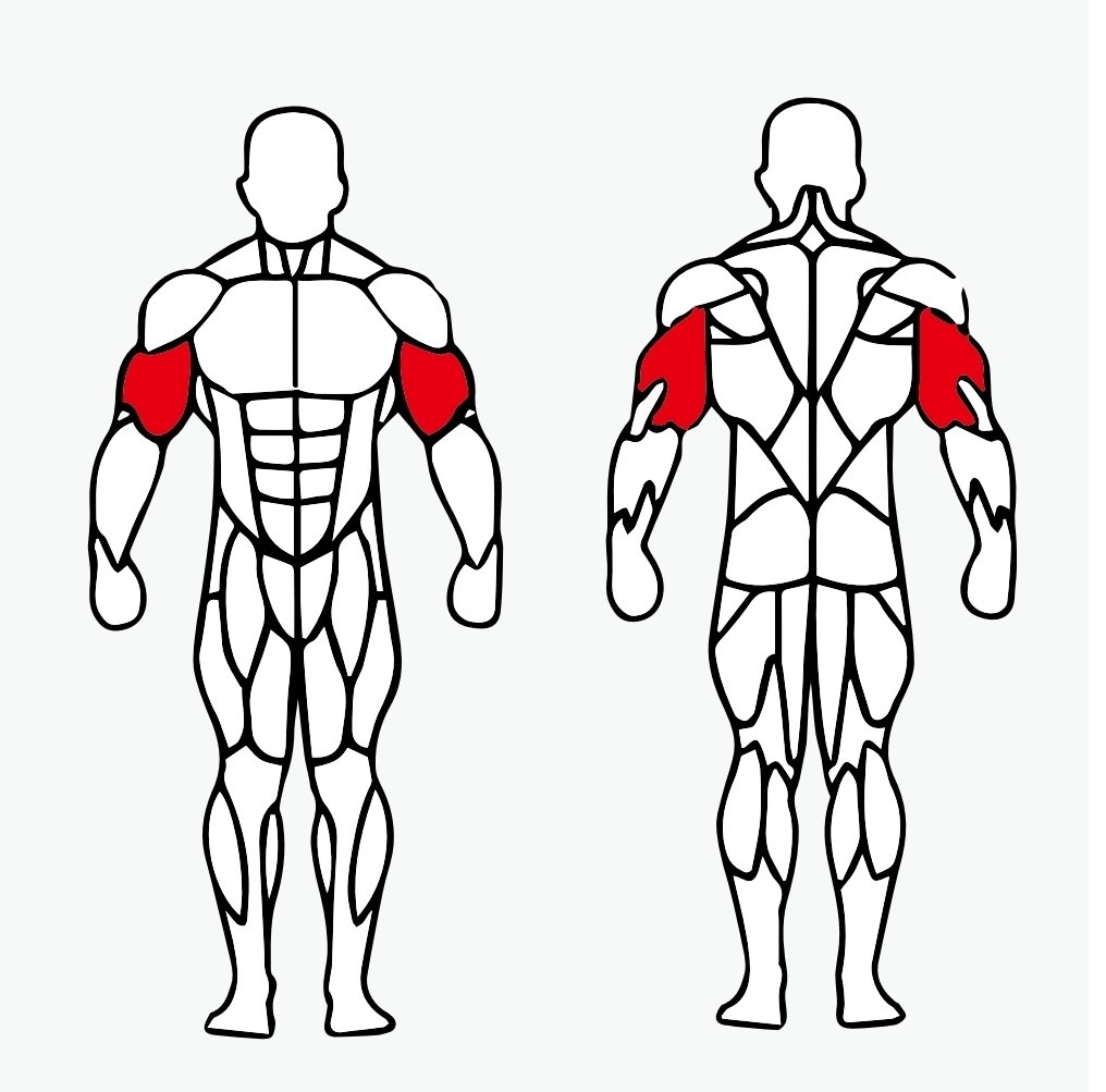 מכשיר משולב יד קדמית יד אחורית עם 100קג משקל מובנה - מקצועי לחדר כושר מהסדרה BF היוקרתית 2 מכשיר משולב יד קדמית יד אחורית עם 100קג משקל מובנה - מקצועי לחדר כושר מהסדרה BF היוקרתית – תמונה 2