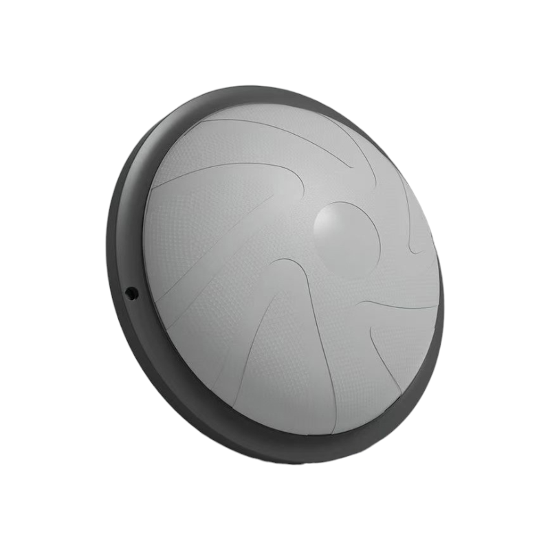 בוסו קטן 46 סמ אפור חצי כדור מקצועי - כולל משאבה 1 בוסו קטן 46 סמ אפור חצי כדור מקצועי - כולל משאבה