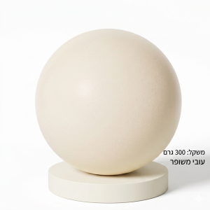 כדור אובר בול עבה 300 גרם  25 סמ OVER BALL לבן פילאטיס יוגה